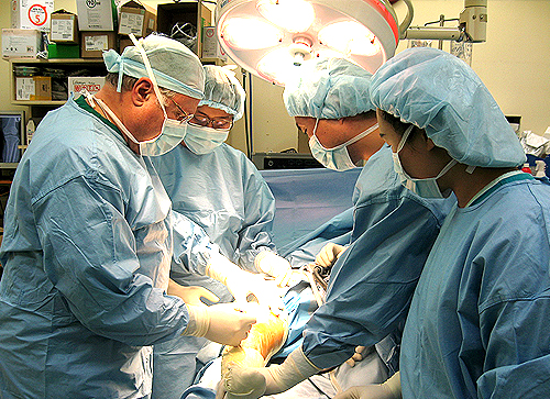 [2008년 2월] 인공관절술 세계적 권위자 Dr.Tria 방문 및 수술참관 게시글의 2번째 첨부파일입니다.